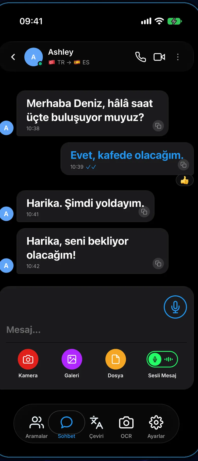 Dilinga sohbet ekranı: her mesaj okuyanın kendi dilinde görünüyor.